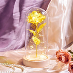 Rose galaxie sous verre jaune