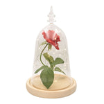 rose lumineuse  rouge