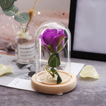 Rose Éternelle sous Verre Violette