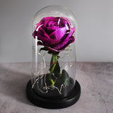 Rose Éternelle XL sous Cloche Violette