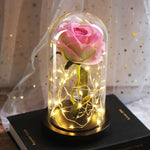 Rose Éternelle XL sous Cloche Rose Pâle