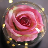 Rose Éternelle XL sous Cloche Rose Pâle