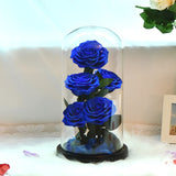 Bouquet Roses Éternelles Bleues sous Verre