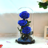 Bouquet Roses Éternelles Bleues sous Verre