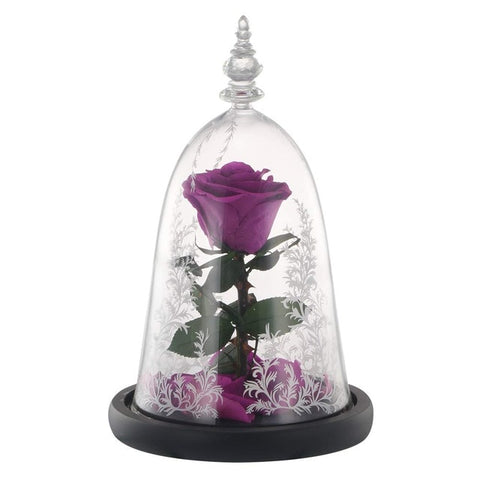 Rose Éternelle sous cloche la Belle et la Bête Violette