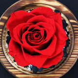 Rose Naturelle Stabilisée sous Cloche Rouge