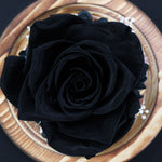 Rose Naturelle Stabilisée sous Cloche Noire