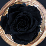 Rose Naturelle Stabilisée sous Cloche Noire