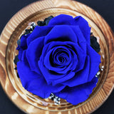 Rose Naturelle Stabilisée sous Cloche Bleue