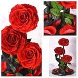 Bouquet Roses Éternelles Rouges